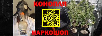 стаф Ярославль