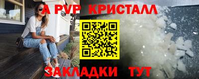 стаф Ярославль