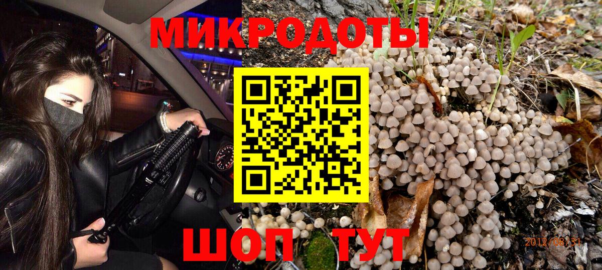 Псилоцибиновые грибы мухоморы Ачинск